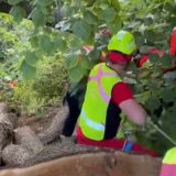 Novi Sad: Spasioci na Fruškoj gori kod Popovice izvukli muškarca koji je pao i povredio se (FOTO, VIDEO) 8