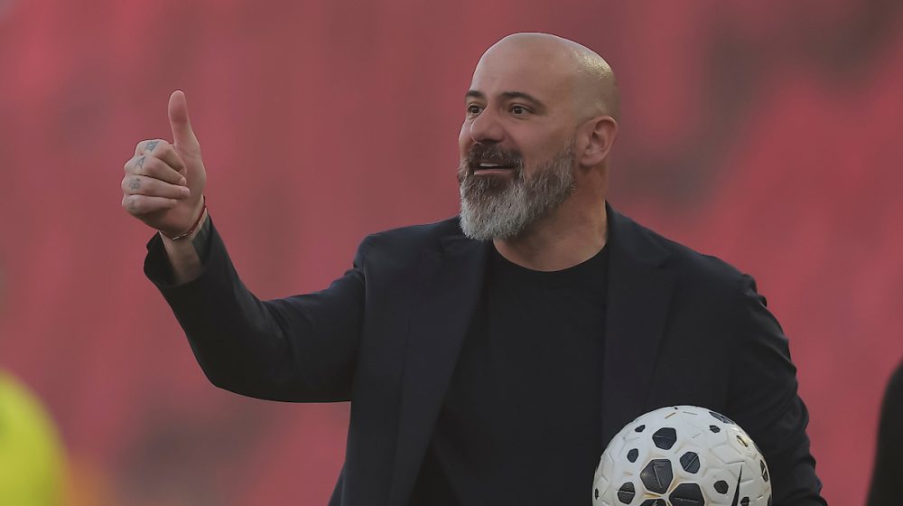 Dejan Stanković, FK Crvena zvezda