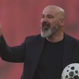 Dejan Stanković, FK Crvena zvezda
