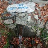 Šta nam govori otkriće izuzetno retke alge u Srbiji 5