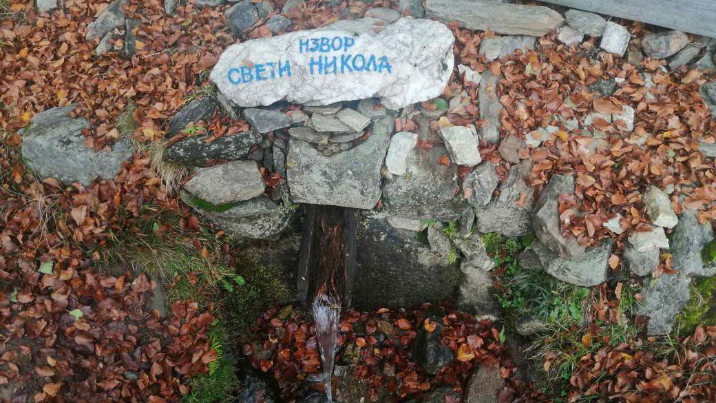 Šta nam govori otkriće izuzetno retke alge u Srbiji 1 Izvor Sveti Nikola, na Vlasinskoj visoravni, gde je pronađena Bodanella lauterborn