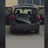 Pronađen automobil za koji se sumnja da je korišćen za transport ubijenog na Senjaku 4