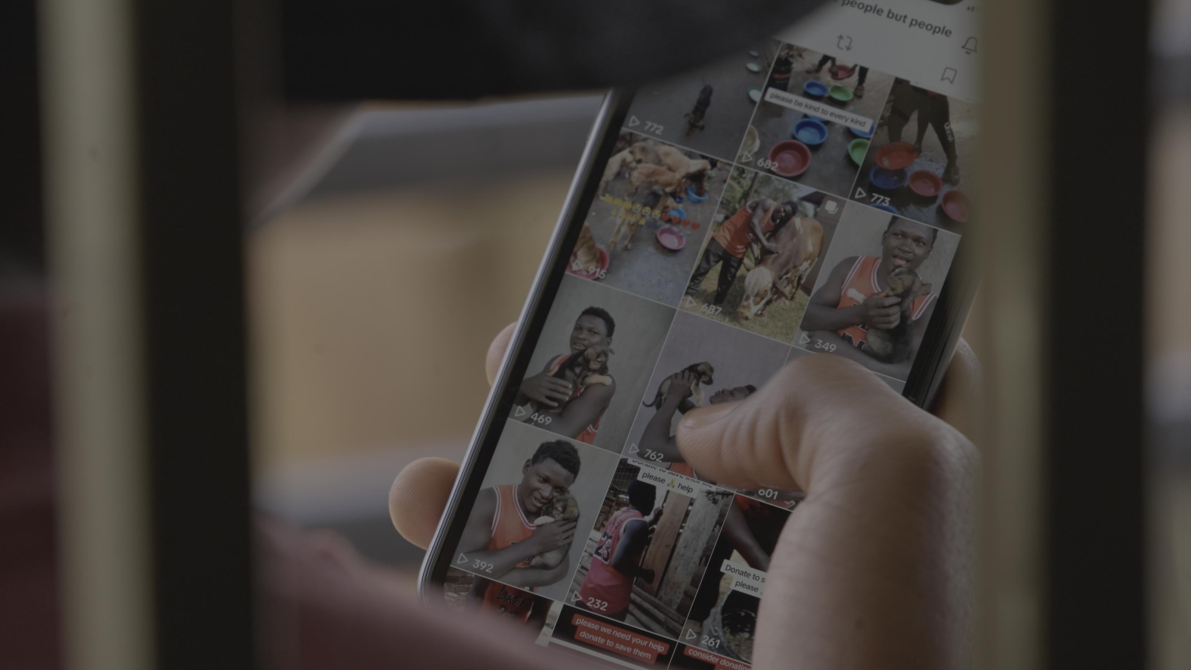 Snimak ekrana mobilnog telefona sa Instagram nalogom koji prikazuje slike pasa