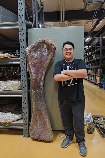 Kako je izgledao Nagatitan? Naučnici na Tajlandu otkrili fosil nove vrste dinosaurusa 2 Titivut Setapaničsakul pored kosti prednje noge nagatitana
