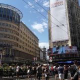 Bele čiope: Skinut bilbord 'Srbija pobeđuje' zbog ugroženih ptica u Beogradu 4