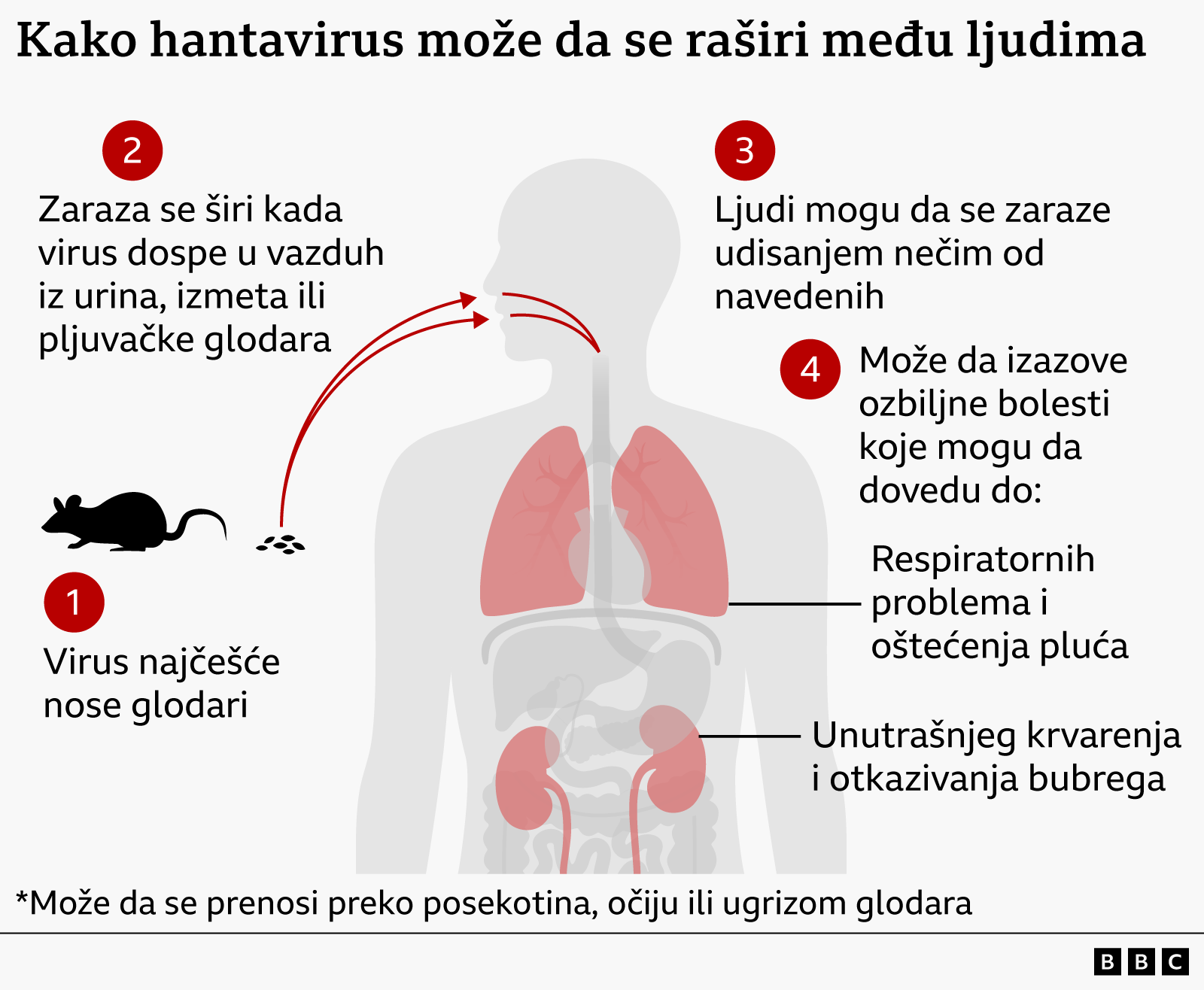 kako se širi hantavirus, hantavirus, zaraza