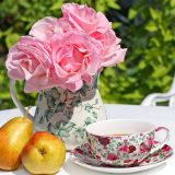 kafa