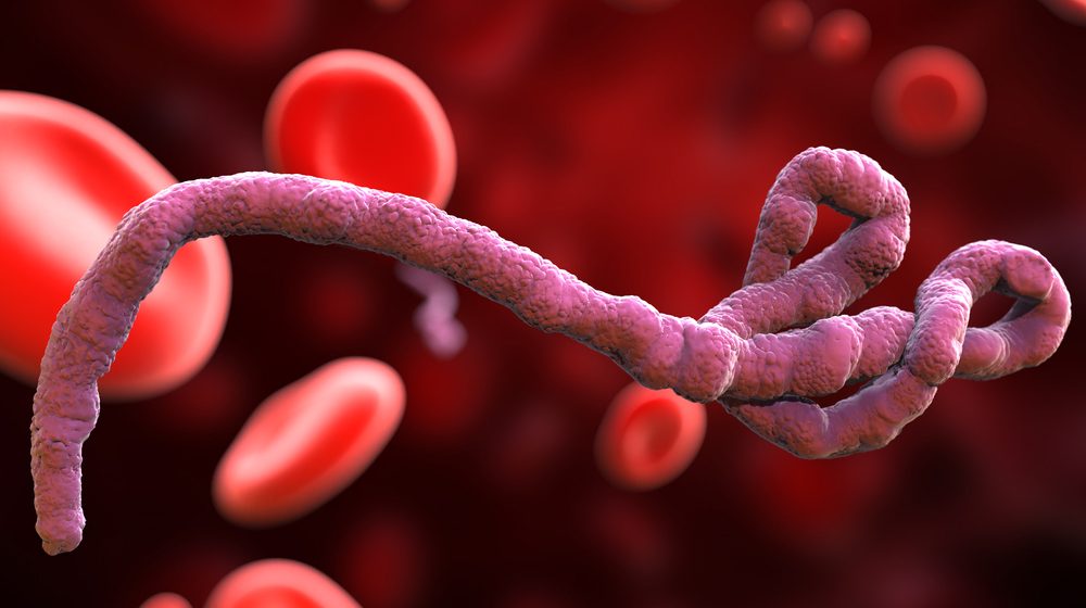 ebola