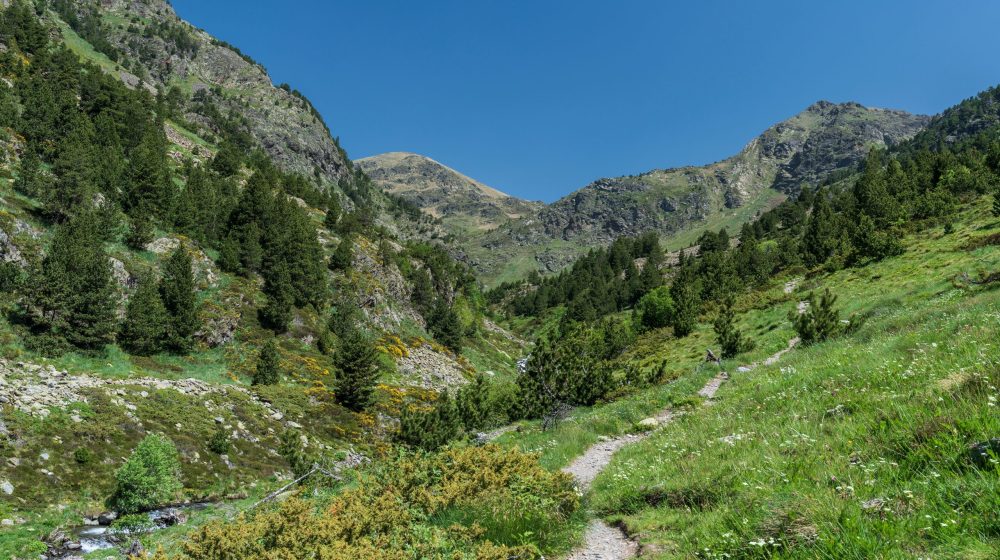 zemlja