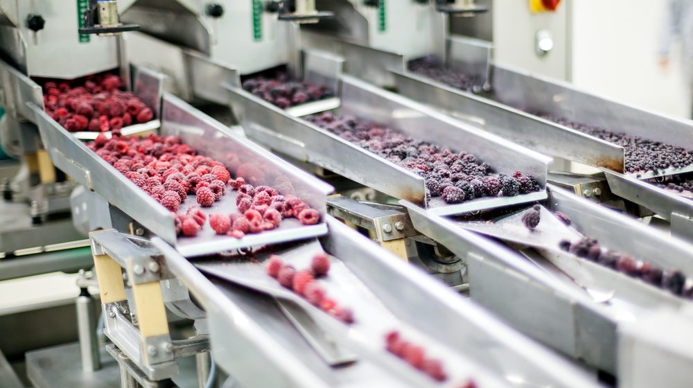 Lidl povlači jedno pakovanje smrznutog voća - potrošači mogu da ga zamene u njihovim prodavnicama 6