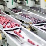 Ministarstvo poljoprivrede objavilo ko je proizvođač spornog voća sa Hepatitisom A 3