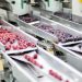 Lidl povlači jedno pakovanje smrznutog voća - potrošači mogu da ga zamene u njihovim prodavnicama 3