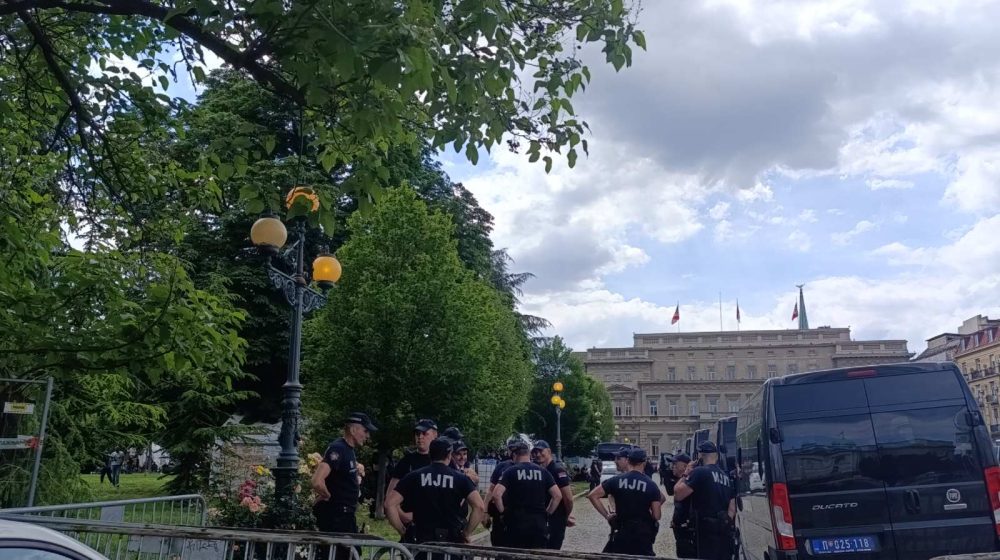 Štandovi u Pionirskom parku 1