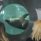 Izdata dozvola za pripremne radove izgradnje akvarijuma na beogradskom Ušću 8