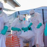 ebola, Kongo