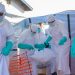 ebola, Kongo