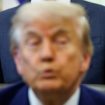 "Blizu najniže tačke": Ovo su najnoviji podaci o popularnosti Donalda Trampa 11