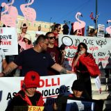 „Flamingo revolucija“ ne jenjava: Novi masovni protest protiv premijera Albanije 19