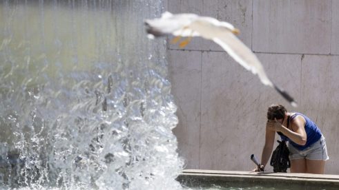 Heat wave grips Italy Evropa na udaru rekordnog toplotnog talasa: Na snazi crveni meteoalarmi, zatvorene škole, desetine hiljada domaćinstava bez struje (FOTO) 8