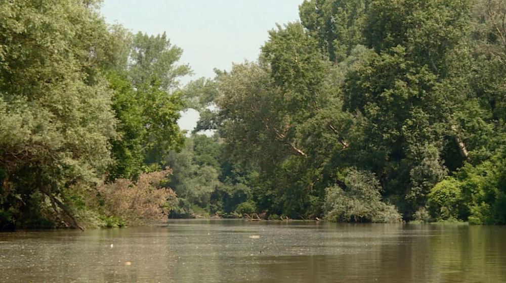 Pronađena tela dvojice muškaraca koji su se utopili u Tisi 8