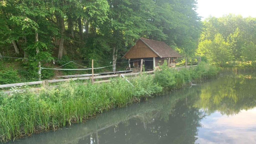 Data centar u Hrvatskoj: Sudar 'najveće investicije u istoriji' i želje jedne porodice da zadrži dom 7 letnjikovac pored ribnjaka porodice Bajić