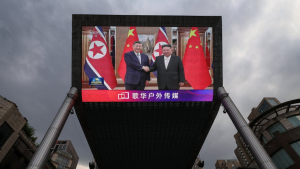 Prijateljstvo ili uticaj: Odnos Kine i Severne Koreje između ljubavi i mržnje 17 Prijateljstvo ili uticaj: Odnos Kine i Severne Koreje između ljubavi i mržnje 15