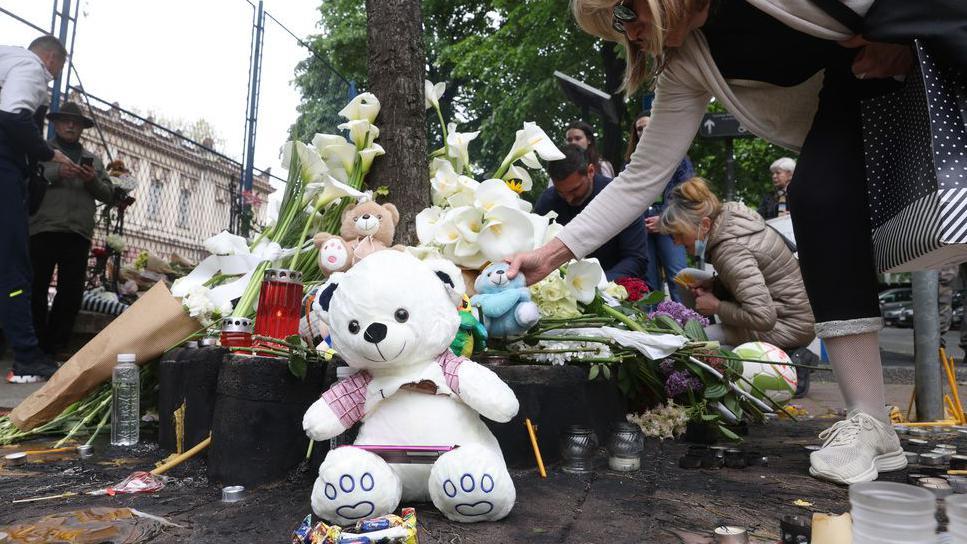 Zločin u Ribnikaru: Završne reči na suđenju Vladimiru i Milj