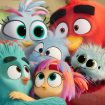 angry birds 3