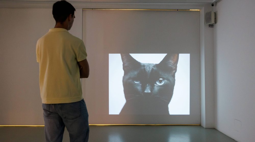 Otvoren drugi deo izložbe „Algoritam brige“ u galeriji Novembar (FOTO) 9