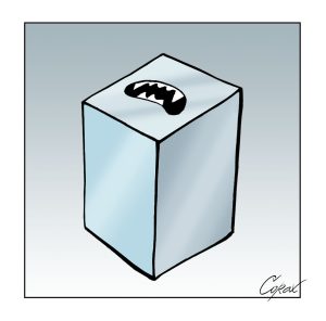 Corax za 11. jun 2026.