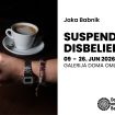 suspended disbelief