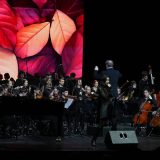 Dva orkestra mladih umetnika na jednoj sceni: Muzički susret SAD i Srbije 4