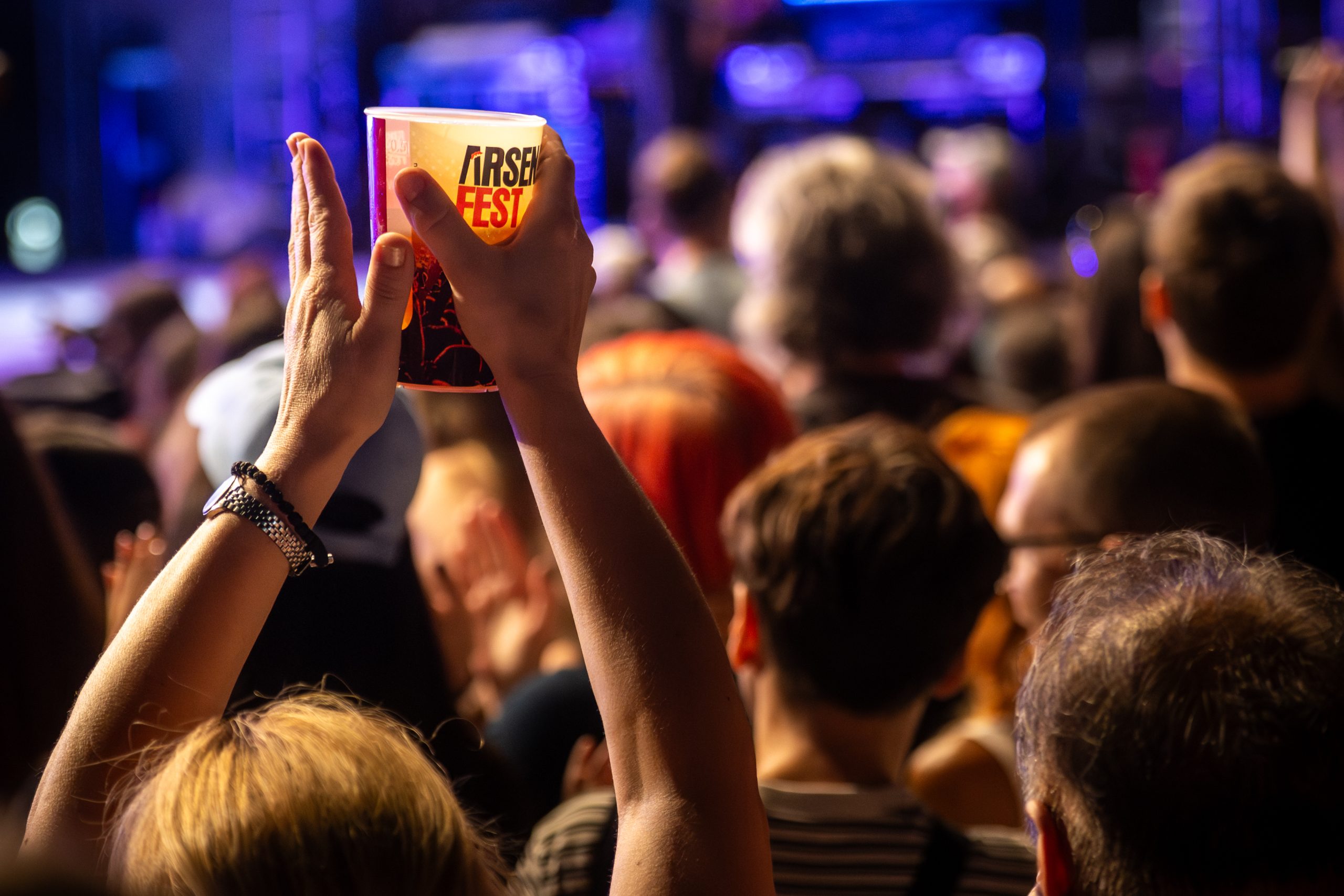 Prvi dan Arsenal Festa obeležili The Cardigans i prvi festivalski nastup Jakova Jozinovića 6