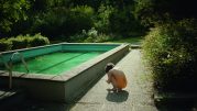 The Trouble with Being Born, © Panama Film „Filmovi na putu“ Goethe-Instituta u bioskopima širom Srbije 8