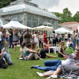 wine garden