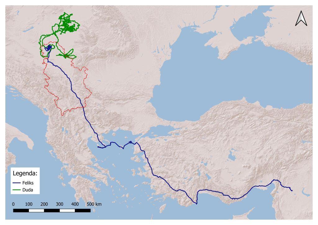 Avantura orla Feliksa: Krijumčari tražili otkup, a on se uz pomoć vojske vratio iz Libana u Srbiju 3 Uporedna mapa kretanja mladih krstaša Dude i Feliksa