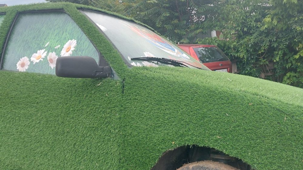 "Kinezi nude električna vozila, ali problem globalnog zagrevanja ipak rešava niška Palilula": Čemu služe opštinski automobili tapacirani plastičnom travom 7