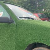 "Kinezi nude električna vozila, ali problem globalnog zagrevanja ipak rešava niška Palilula": Čemu služe opštinski automobili tapacirani plastičnom travom 3
