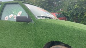 "Kinezi nude električna vozila, ali problem globalnog zagrevanja ipak rešava niška Palilula": Čemu služe opštinski automobili tapacirani plastičnom travom 14