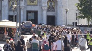 I studenti i vernici ponašaju se slično