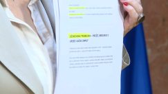 marinika tepic dokument mediji Marinika Tepić u holu Skupštine pokazala dokumenta o Vučićevoj "mreži za upravljanje medijima" 5
