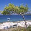 korčula
