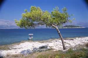 Hrvatska je ozbiljno pala na listi kvaliteta vode za kupanje. Evo šta se zapravo dogodilo 1 korčula