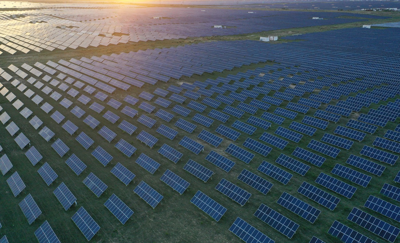 U pustinji su izgradili najveću solarnu elektranu na svetu: Nekoliko godina kasnije morali su da dovedu 20.000 ovaca 2