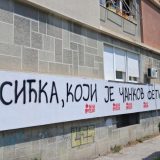 Grafiti mržnje na Limanu u Novom Sadu: Nastavlja se targetiranje profesorice Marije Vasić 10