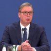 Vučić najavio jeftinije lekove: Doplata će biti manja od 10 do 40 odsto 12