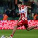 Vuk Roganović, Foto; Luka Milosavljevic/Starsport