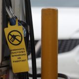 Kriza sa gorivom u Rusiji: Rad od kuće, najavljeno postavljanje toaleta u blizini benzinskih pumpi 4
