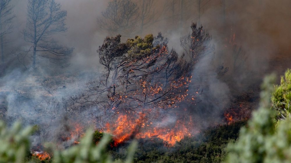 Požari usled vrućina u Španiji, Grčkoj, Portugalu, Francuskoj: Evakuisano 10.000 ljudi, moguće otkazivanje Tur de Fransa 8