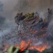 Požari usled vrućina u Španiji, Grčkoj, Portugalu, Francuskoj: Evakuisano 10.000 ljudi, moguće otkazivanje Tur de Fransa 11